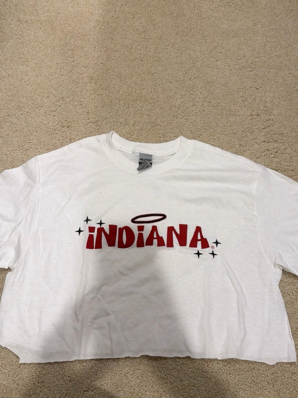 Gildan White T-Shirt with Red Indiana Graphic